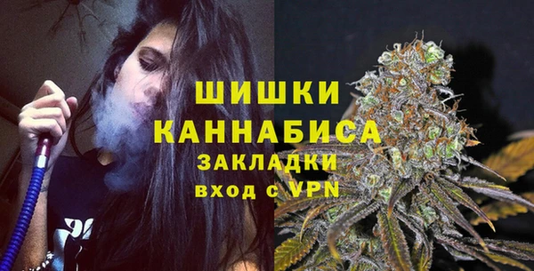 apvp Горнозаводск