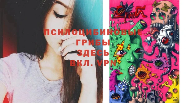 хмурый Дмитров