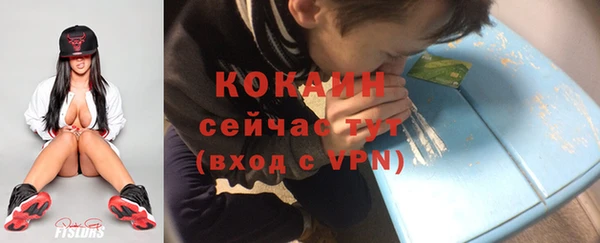МДПВ Вяземский