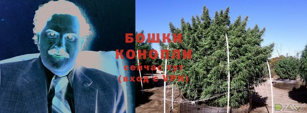 метадон Горняк