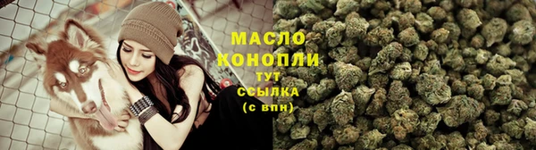 хмурый Дмитров