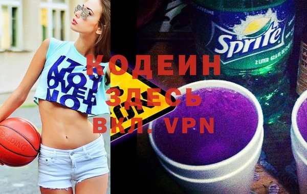 хмурый Дмитров